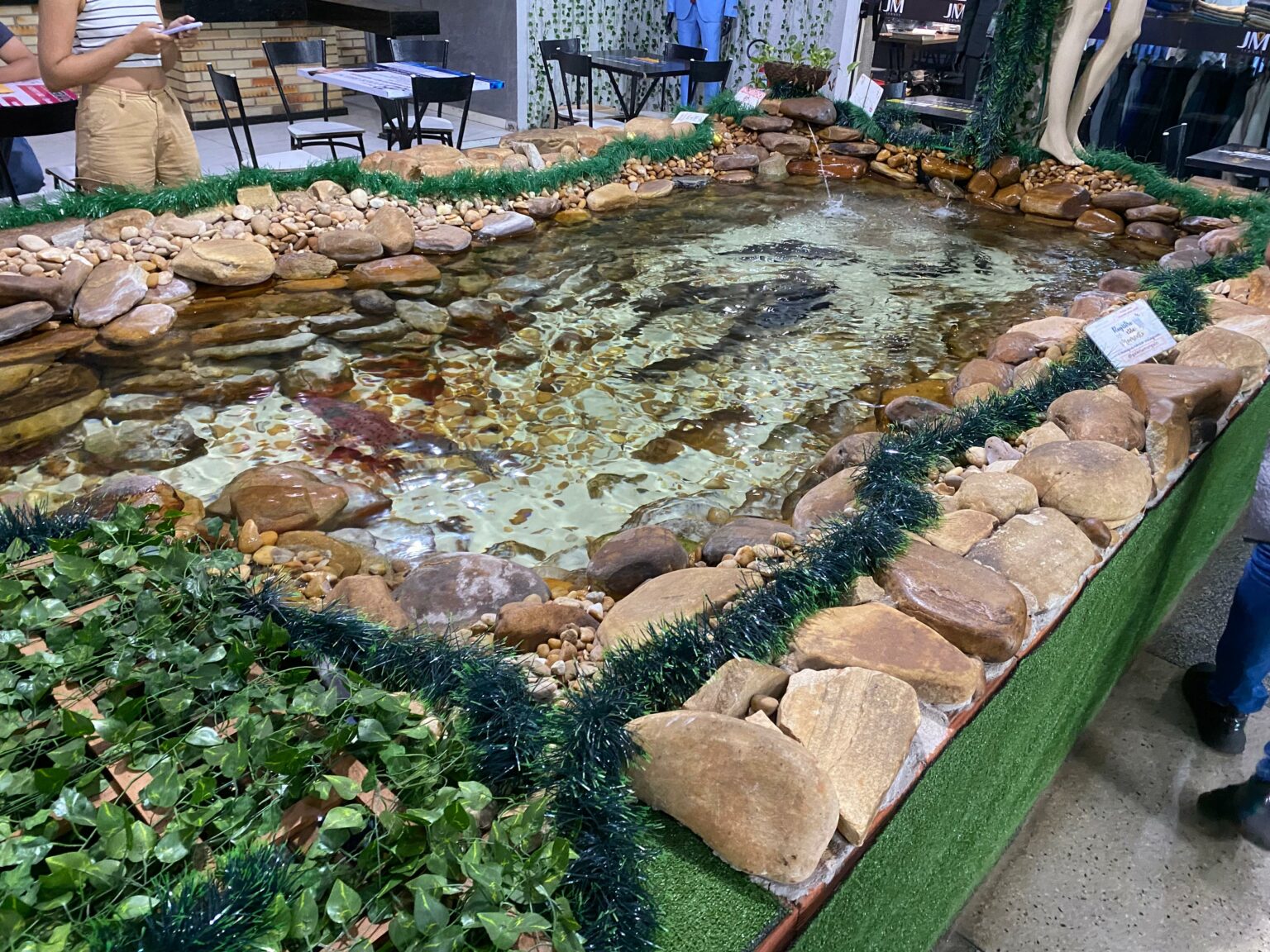 Prefeitura de Goiânia inicia projeto-piloto de agricultura urbana com sistema de aquaponia